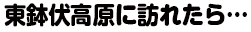 東鉢伏高原に訪れたら…